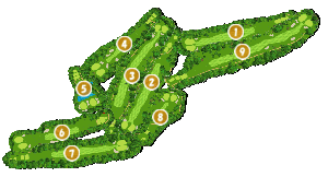 コース全体俯瞰図