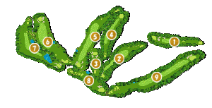 コース全体俯瞰図