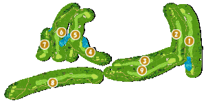 コース全体俯瞰図