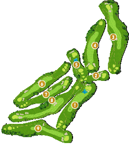 コース全体俯瞰図