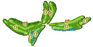 コース全体俯瞰図