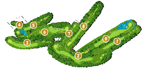 コース全体俯瞰図