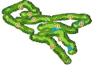 コース全体俯瞰図