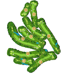 コース全体俯瞰図