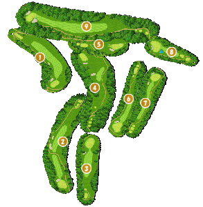 コース全体俯瞰図