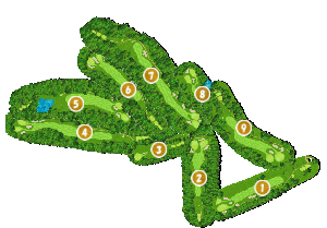 コース全体俯瞰図