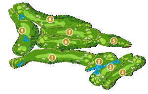 コース全体俯瞰図