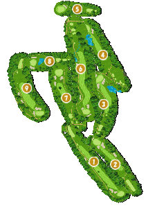 コース全体俯瞰図