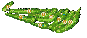 コース全体俯瞰図