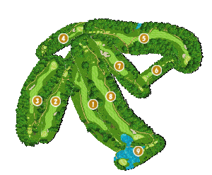 コース全体俯瞰図