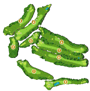 コース全体俯瞰図