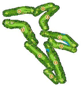 コース全体俯瞰図