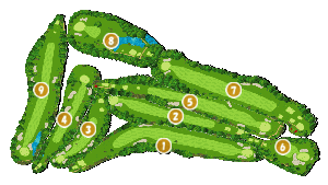 コース全体俯瞰図