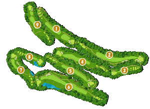 コース全体俯瞰図