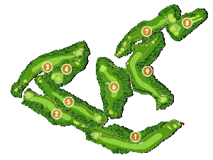 コース全体俯瞰図