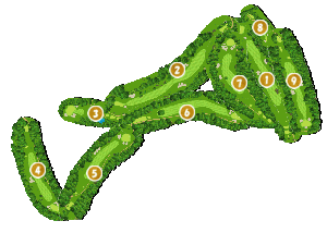 コース全体俯瞰図