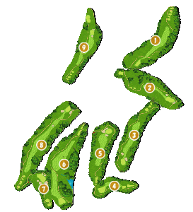 コース全体俯瞰図