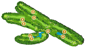 コース全体俯瞰図