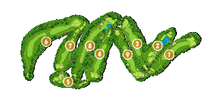 コース全体俯瞰図