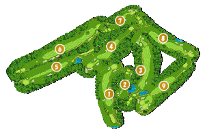 コース全体俯瞰図