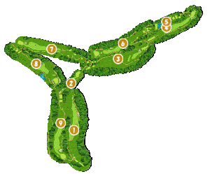 コース全体俯瞰図