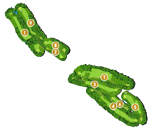 コース全体俯瞰図