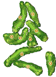 コース全体俯瞰図