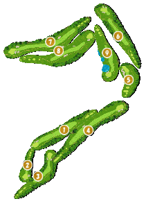 コース全体俯瞰図
