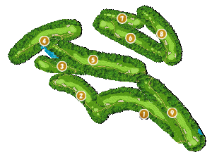 コース全体俯瞰図