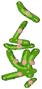 コース全体俯瞰図