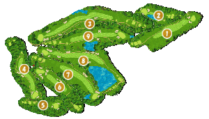 コース全体俯瞰図