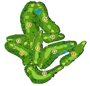 コース全体俯瞰図