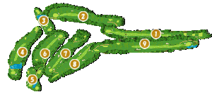 コース全体俯瞰図