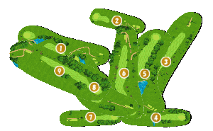 コース全体俯瞰図