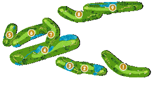 コース全体俯瞰図