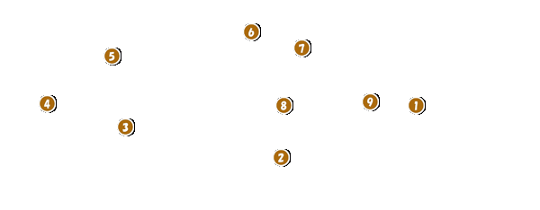 コース全体俯瞰図