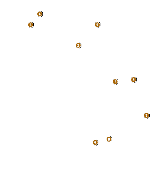 コース全体俯瞰図