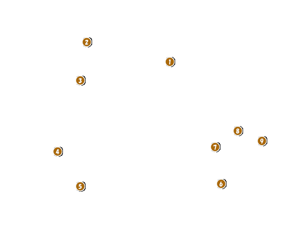 コース全体俯瞰図