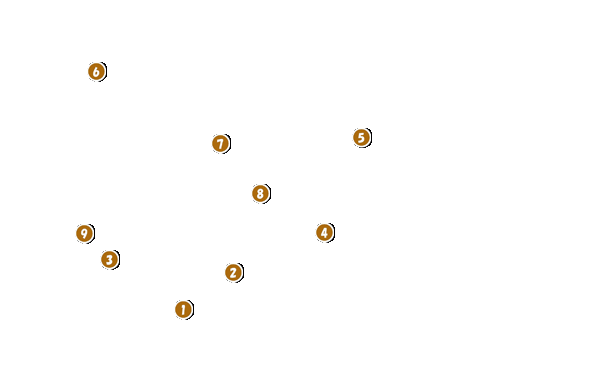 コース全体俯瞰図