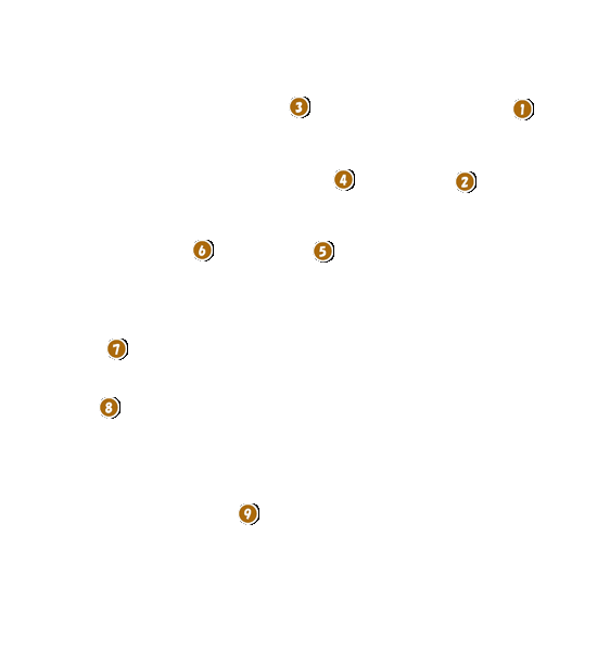 コース全体俯瞰図