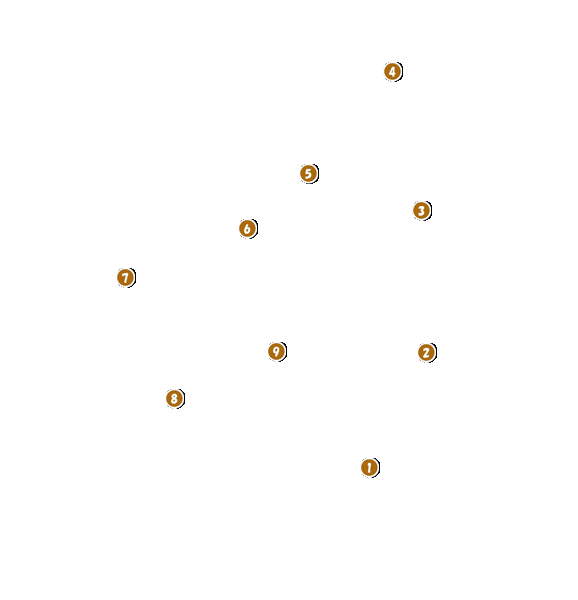 コース全体俯瞰図