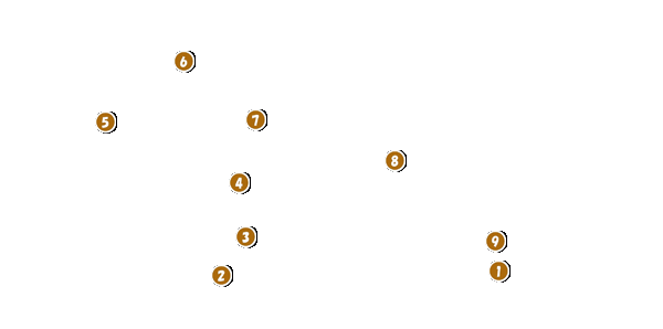 コース全体俯瞰図