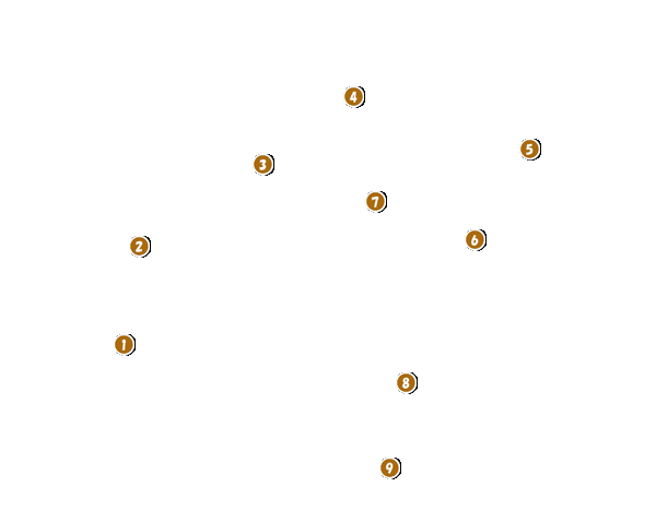 コース全体俯瞰図