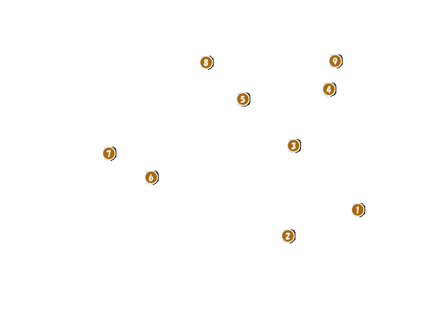 コース全体俯瞰図