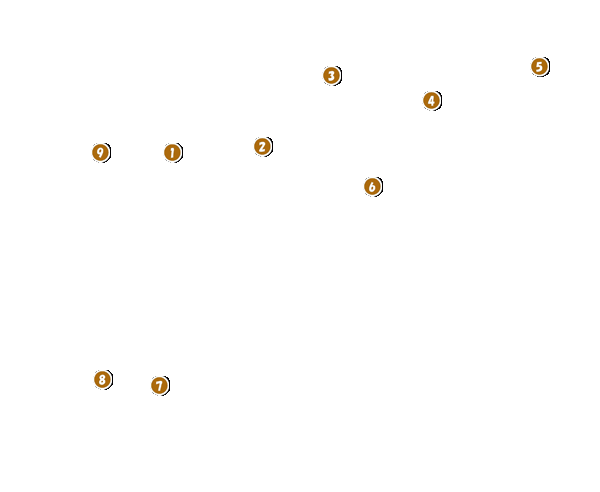 コース全体俯瞰図