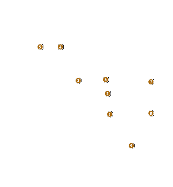 コース全体俯瞰図