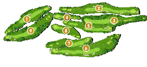 コース全体俯瞰図