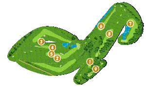 コース全体俯瞰図