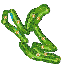 コース全体俯瞰図