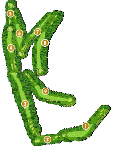 コース全体俯瞰図